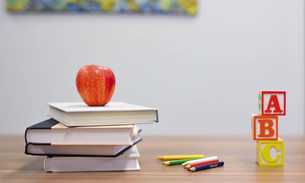 CDMF looks back on 2025